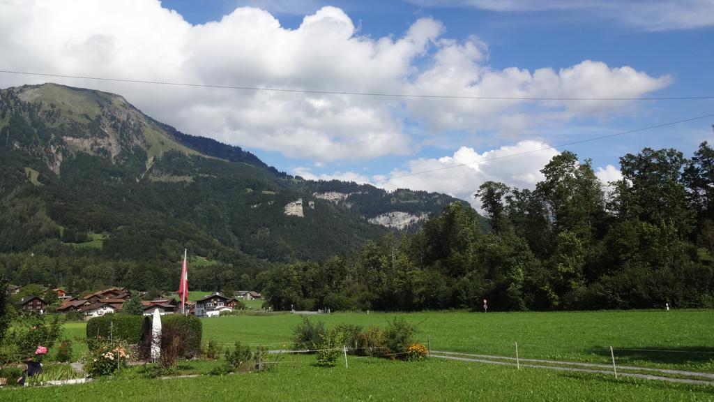 Seeli Hofstetten bei Brienz Kamer foto