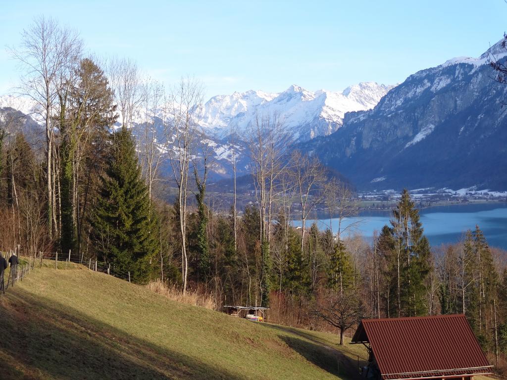 Seeli Hofstetten bei Brienz Kamer foto