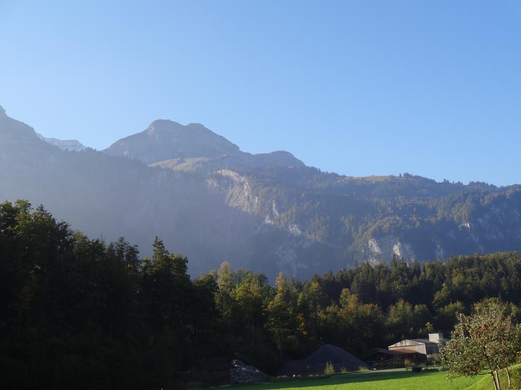 Seeli Hofstetten bei Brienz Kamer foto