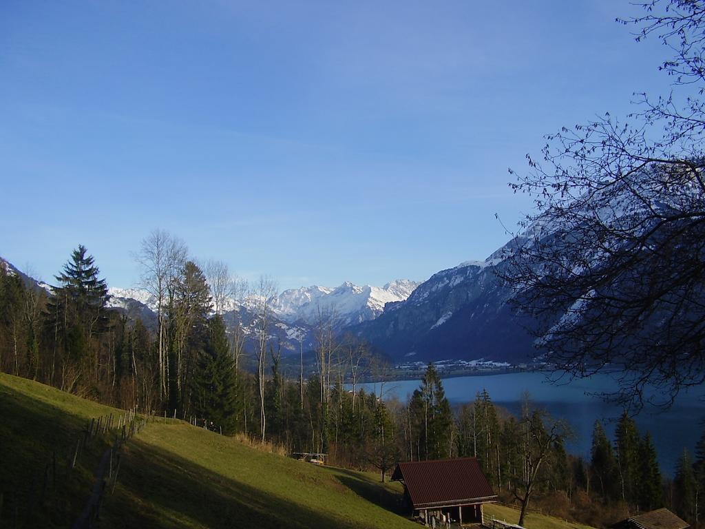 Seeli Hofstetten bei Brienz Kamer foto