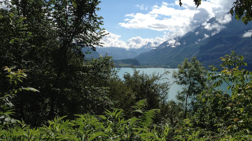 Seeli Hofstetten bei Brienz Kamer foto